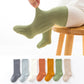 🎁 Double Needle Baby Knee Length Socks (100% off) null